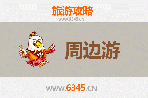 海南白沙七坊镇深度游攻略：雨林探秘与黎族文化体验